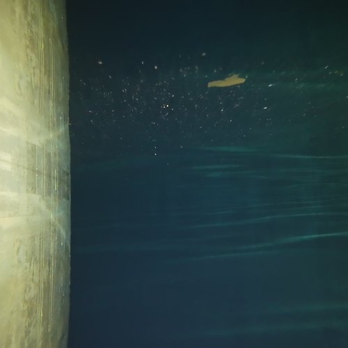 Sprinklertank-Inspektion: Betontank, 15 Jahre – Inspektion Wand Sedimentablagerungen Truebes Wasser